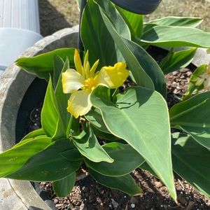 Meet your Posher, Suzanne